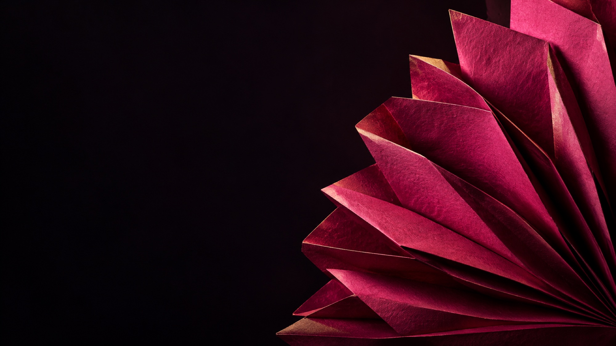 Magenta-Papierfächer im dunklen Atelier